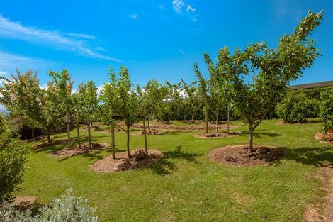 Photo of property in 421 Delta Lake Heights, Renwick, Blenheim, 7271