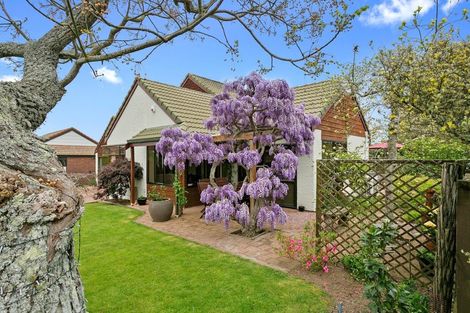 Photo of property in 36 Findlater Street, Matamata, 3400