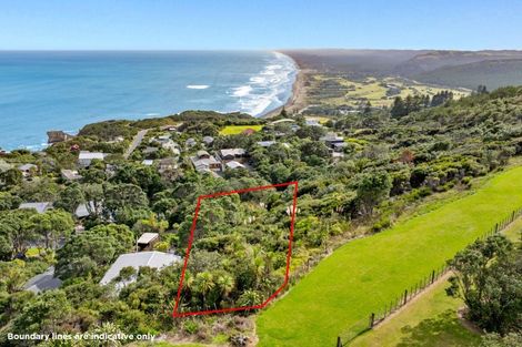 Photo of property in 119 Waitea Road, Muriwai, 0881