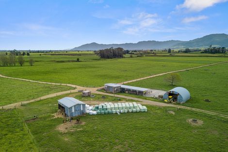 Photo of property in 661 Wardville Road, Wardville, Waharoa, 3474