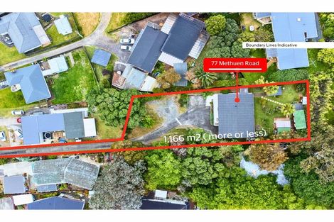 Photo of property in 77 Methuen Road, New Windsor, Auckland, 0600