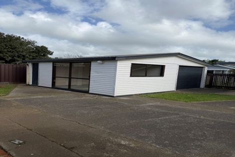 Photo of property in 114 Limbrick Street, Terrace End, Palmerston North, 4410