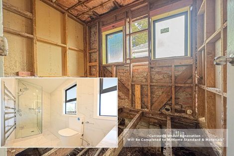 Photo of property in 36 Anderson Avenue, Point England, Auckland, 1072