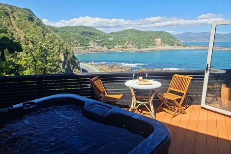 Photo of property in 114 The Esplanade, Houghton Bay, Wellington, 6023