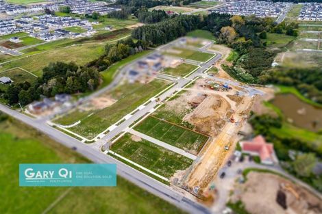 Photo of property in 244 Flat Bush School Road, Flat Bush, Auckland, 2019