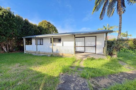 Photo of property in 48 Astley Avenue, New Lynn, Auckland, 0600