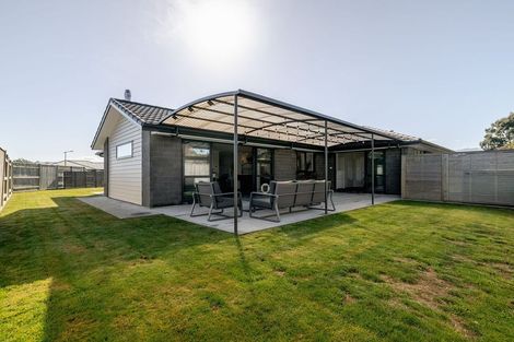 Photo of property in 33 Monarch Drive, Ashhurst, 4810