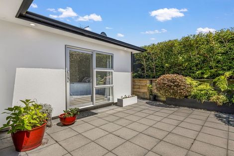 Photo of property in 83c Fitzroy Street, Terrace End, Palmerston North, 4410