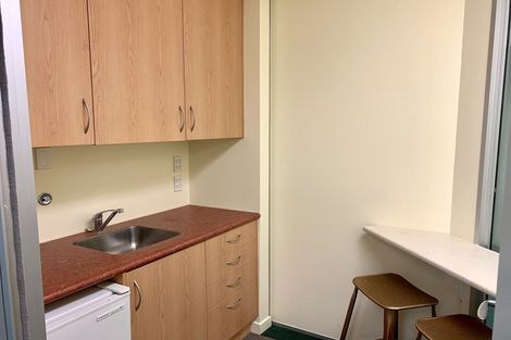 Photo of property in 8a Madeira Lane, Grafton, Auckland, 1023