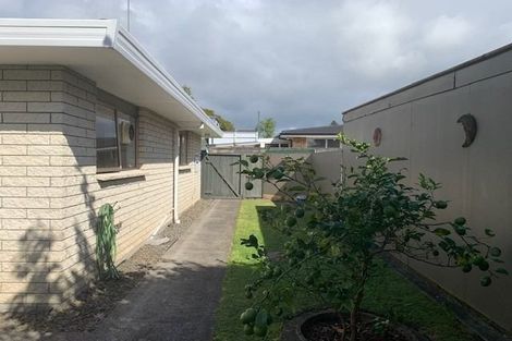 Photo of property in 10a Tutchen Street, Tauranga, 3110