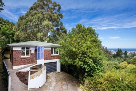 Photo of property in 31 Dalry Street, Mornington, Dunedin, 9011