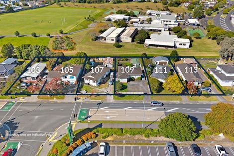 Photo of property in 103 Sunnynook Road, Forrest Hill, Auckland, 0620