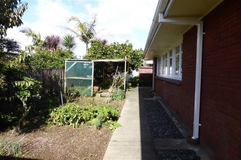 Photo of property in 11 Cedar Grove, Matua, Tauranga, 3110