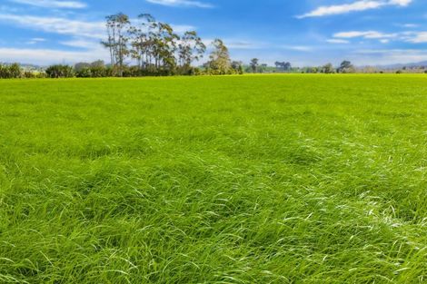 Photo of property in 125 Awakino Point Road East, Awakino Point, Dargaville, 0372