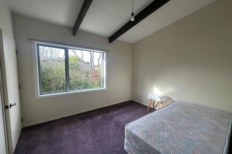 Photo of property in 205a Forbury Road, Saint Clair, Dunedin, 9012