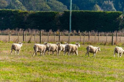 Photo of property in 517 Newtons Road, Rolleston, Christchurch, 7675