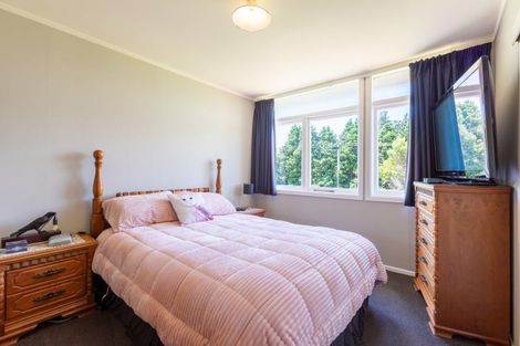 Photo of property in 321 Te Kakapo Valley Road, Dannevirke, 4978
