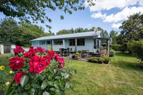 Photo of property in 4/193 Racecourse Road, Cambridge, 3493