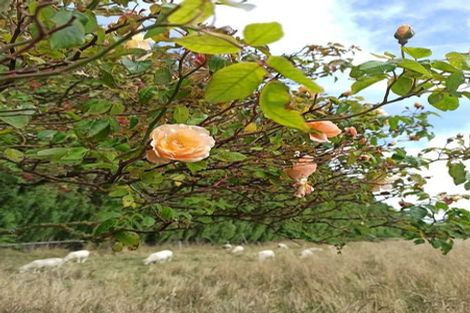 Photo of property in 33b Esperance Street, St Albans, Christchurch, 8052