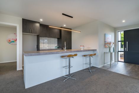 Photo of property in 49 Silverstream Drive, Mosgiel, 9024