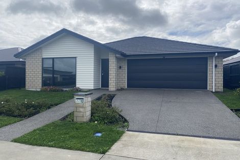 Photo of property in 12 Harp Street, Morrinsville, 3300