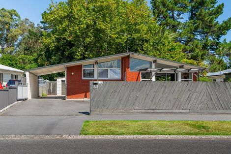 Photo of property in 33 Fitzroy Avenue, Fitzroy, Hamilton, 3206