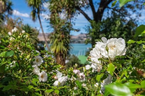 Photo of property in 32 Simeon Quay, Lyttelton, 8082