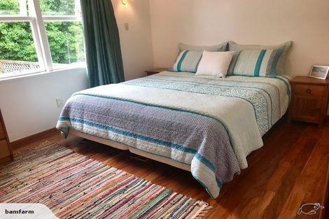 Photo of property in 50 Pagitt Street, Coromandel, 3506