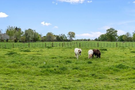 Photo of property in 265 Pencarrow Road, Tamahere, Hamilton, 3283