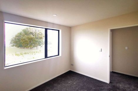 Photo of property in 45 John Gray Street, Papakura, 2110