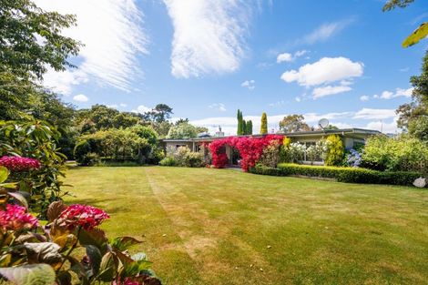 Photo of property in 1498 Napier Road, Ashhurst, 4810