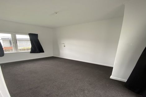 Photo of property in 19 Carey Street, Maeroa, Hamilton, 3200