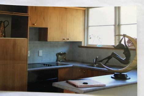 Photo of property in 4e Alva Street, Dunedin Central, Dunedin, 9016