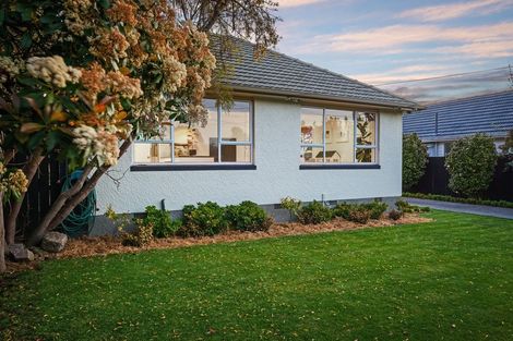 Photo of property in 167 Condell Avenue, Papanui, Christchurch, 8053