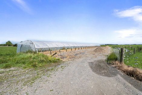 Photo of property in 145 Campbells Road, Pine Hill, Dunedin, 9010