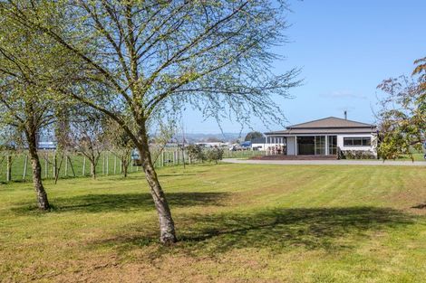 Photo of property in 53 Oak Street, Masterton, 5810