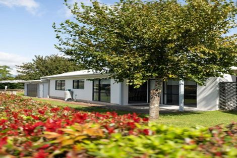 Photo of property in 104 Wills Road, Katikati, 3129