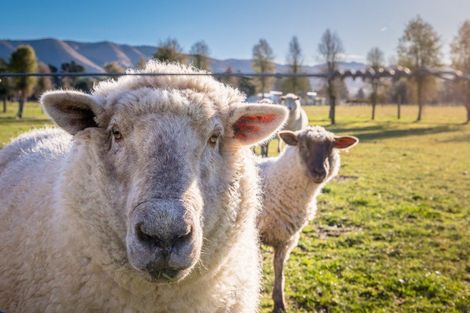 Photo of property in 124 Waihao Back Road, Waimate, 7979
