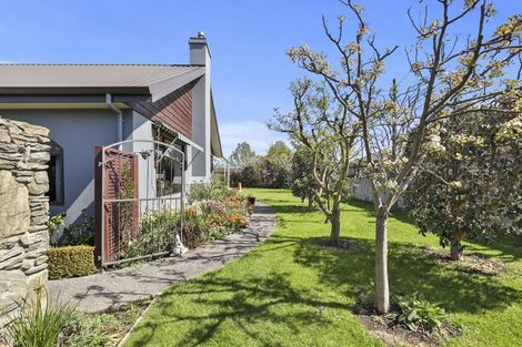 Photo of property in 11 Pelorus Place, Redwoodtown, Blenheim, 7201