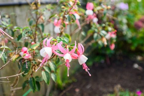 Photo of property in 153a Milson Line, Milson, Palmerston North, 4414