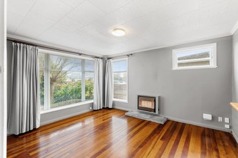 Photo of property in 16 Salisbury Avenue, Terrace End, Palmerston North, 4410