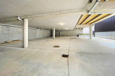 Photo of property in Aniva Terrace, 15 Arney Street, Newtown, Wellington, 6021