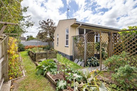 Photo of property in 23 Saint Albans Avenue, Hokowhitu, Palmerston North, 4410