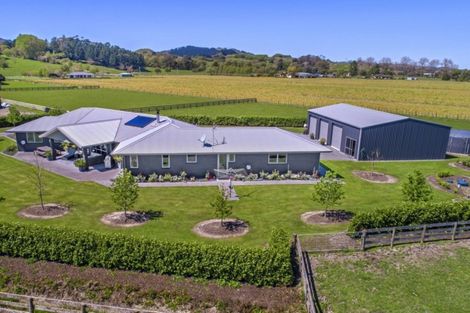 Photo of property in 640 Back Ormond Road, Makauri, Gisborne, 4071