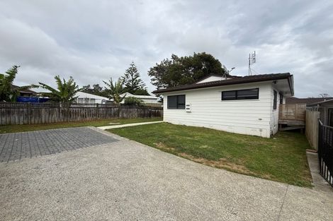 Photo of property in 131 Finlayson Avenue, Clendon Park, Auckland, 2103