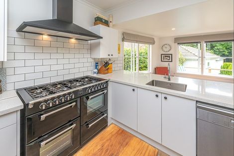 Photo of property in 14 Oakland Avenue, Saint Johns Hill, Whanganui, 4500