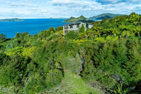 Photo of property in 180 Pumpkin Hill Road, Pumpkin Hill, Whitianga, 3591