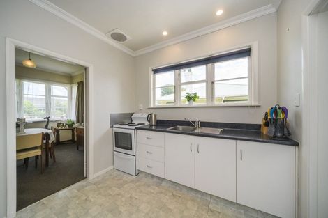 Photo of property in 25 Limbrick Street, Terrace End, Palmerston North, 4410