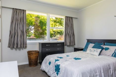 Photo of property in 19 Milford Street, Witherlea, Blenheim, 7201