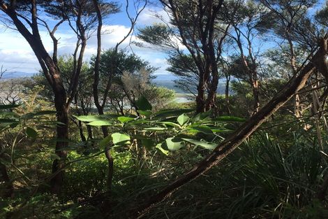 Photo of property in 183 Pukewhao Road, Horeke, Okaihau, 0475